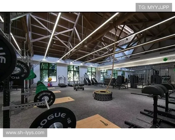 重塑健康体魄打造高效健身计划实现力量与美感的完美融合