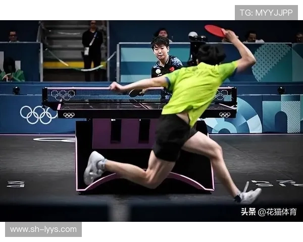 乒乓球运动的魅力与发展历程：从休闲娱乐到世界竞技舞台的蜕变