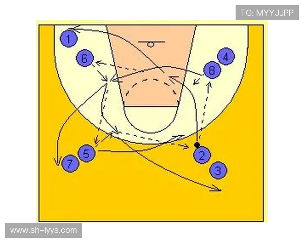 篮球技术与战术的深度解析：从基础动作到比赛策略的全面探讨