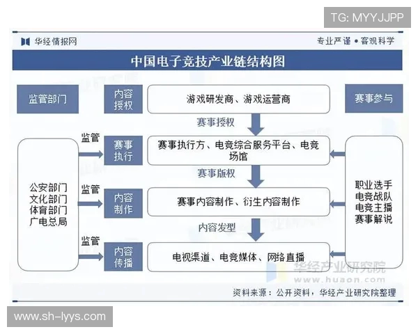 聚焦电竞职业联赛发展探讨数字时代竞技产业的机遇与挑战