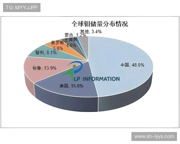 乒乓球技术革新与全球竞技发展趋势的深度分析与展望