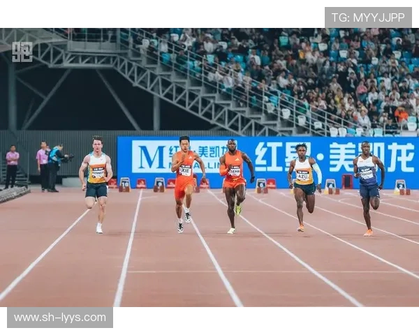 深圳排球队在钻石联赛中的逆袭之路与辉煌成就全景回顾