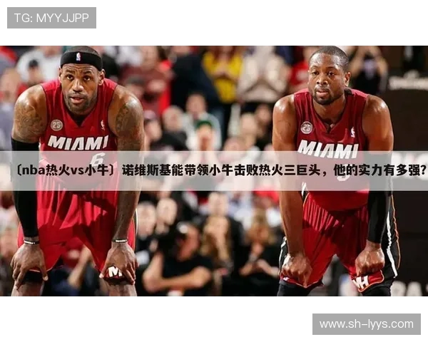 2011年NBA总决赛小牛队对热火队精彩录像回放与赛后分析